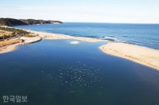 월송정 아래 숨겨진 일출 명소… 바다 보기 좋은 울진 [자박자박 소읍탐방]