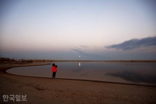 월송정 아래 숨겨진 일출 명소… 바다 보기 좋은 울진 [자박자박 소읍탐방]