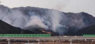 삼척 동막리 산불… 바람 타고 1㎞ 불띠