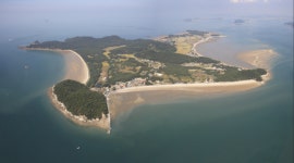 물망터·황금곰솔·면삽지... 7만명이 감탄한 삽시도 둘레길