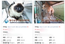 안락사 위기 처했던 이기영 반려동물 1마리 새 주인 찾았다