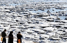 북극에 온 듯... 유빙 뒤덮인 동막해변 [사진잇슈]
