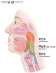 2주 이상 음식물 삼키기 어려우면…인유두종바이러스 관련 있는 ‘구인두암’ 때문?