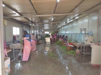 삼겹살과 절묘한 조화 경산 육동 미나리 본격 출하