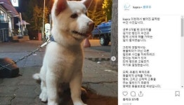 외면받는 또 다른 동물 범죄, 성적 학대.. 이제는 제동 걸어야
