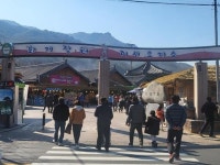 조영남이 끌고 산중산물로 특화된 화개장터… 문화관광 장터로도 우뚝