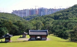 세계유산 김포 장릉 문제 유감 [기고]