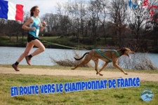 “누가 이런 짓을”.. 반려견 행사 도중 벌어진 의문사.. ‘독살’로 밝혀져