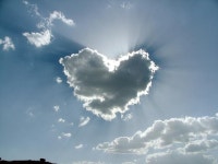 신기하고 매혹적인 구름의 세계 [책과 세상]