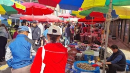 봄엔 꽃, 가을엔 햇밤… 사계절 옷 갈아입는 카멜레온 5일장