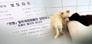 민법개정으로 동물 법적 지위 생겨도 민사집행법·동물보호법 등 추가 개정돼야