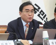 태 의원님, 이래서야 김정은이 화들짝 놀라겠습니까 [기자의 눈]