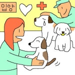 유기동물 입양 활성화…경남, 전국 첫 공감동물병원 운영