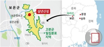 149승1패, 삼국통일 기틀 다진 전초기지 [배기동의 고고학 기행]