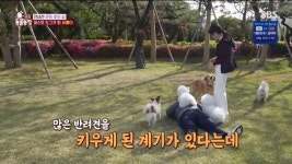 윤 대통령 부부, 동물농장 깜짝 출연... 새롬이 입양 사연 소개하며 관저 공개도