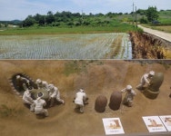 항아리 관에 금동관까지…신촌리9호분 주인은 누구? [배기동의 고고학 기행]