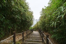 바다 품은 작은 섬… 대숲 사이 천수만, 천지가 선경이더라 [자박자박 소읍탐방]