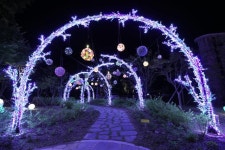 수려한 계곡에 시원한 폭포... 한여름 밤의 낭만 불빛까지 [박준규의 기차여행, 버스여행]