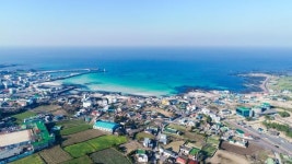 [지역 소·극·장] 일하다 언제든 바다로 풍덩… 워케이션의 성지 제주 세화리를 아시나요