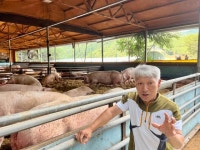 돼지가 행복한 동물복지 1호 농장주 아직 갈 길 멀다