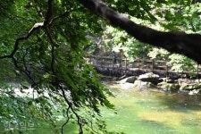 탄·담·대·폭·소… 덕유산 골짜기 서늘하게 적시는 33폭 산수화 [자박자박 소읍탐방]