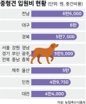10월부터 동물병원 진료비 싸진다는데... 실제 인하효과는 찔끔?