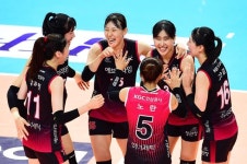 KGC인삼공사 스포츠단, 남자 농구·여자 배구 '정관장'으로 팀명 변경