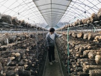 ‘서울서 가깝고도 먼’ 안성, ‘6차 산업’이 청년을 기다린다