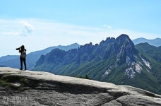 [느린 풍경] 설악산 보러 금강산에… 1시간 오르니 녹음의 파도 위에 울산바위가