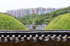 유네스코 세계유산위 장릉 앞 아파트 공동실사 요청