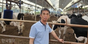 [르포] 젖소 1마리당 연 1000원 벌어...우유 팔고 남는 건 눈물뿐