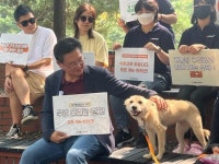 멍멍! 우리도 반려견 개농장 구조견들이 국회에 등장한 이유
