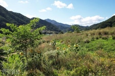 [이런 여행] 강원 깊은 산골에서 숲속 힐링 vs 아무것도 안 하고 ‘멍 때리기’