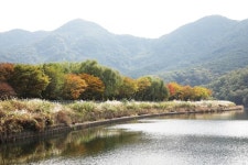 1만 원으로 뿌듯한 추억... 흥미진진한 물억새 습지 탐방 [박준규의 기차여행, 버스여행]