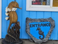 허니문 명소를 넘어 하이킹 성지로... 우리가 몰랐던 하와이