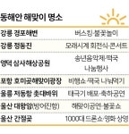 불꽃에 드론·군 비행쇼까지…동해안 해맞이 특수에 들썩