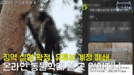‘동물학대 영상’ 차단한 유튜브.. 국내 플랫폼은 여전히 미온적?