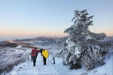 눈꽃 터널 아래 구름바다 황홀경... 겨울왕국 노고단 [박준규의 기차여행, 버스여행]