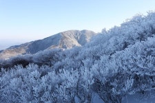 눈꽃 터널 아래 구름바다 황홀경... 겨울왕국 노고단 [박준규의 기차여행, 버스여행]