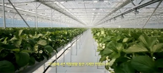 충남 스마트팜, 청년들에게 인기 짱