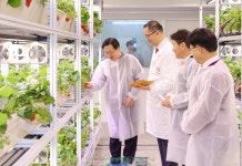 대전 원도심 공실 활용한 스마트팜 개장...전국 최초