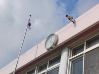 전단지 돌리는 교사, 2년차 물부장...  인구절벽 앞 요즘 학교 풍경 [17년생 학교 간다]