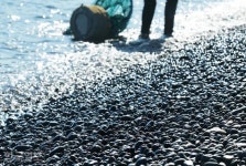 [이런 여행] 박열·김좌진·윤동주… 그날의 함성 들리는 듯