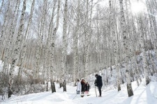[느린 풍경] ‘님의 침묵’ 속 깊은 울림… 용대리의 마지막 겨울