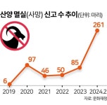 [단독] 화천·양구에서만 80%가 죽었다… 멸종위기종 산양이 보내는 SOS