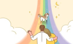 반려동물이 무지개다리를 건너면 [생명과 공존]