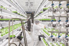 금 채소 걱정 마시라...이마트는 안정적 공급 보장하는 스마트팜으로 답했다[ESG클린리더스]