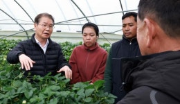 한식당·호텔에도 외국인 노동자… 이달 고용 신청, 7월 현장 투입