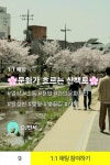 봄 맞이는 원성천 벚꽃길이 최고죠 3~7일 문화 흐르는... 행사