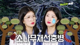 소나무가 불치병에 걸렸다고? [영상]